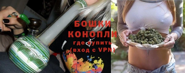 твердый Богородицк