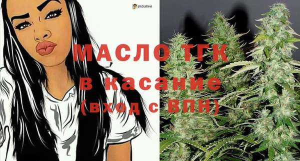 твердый Богородицк