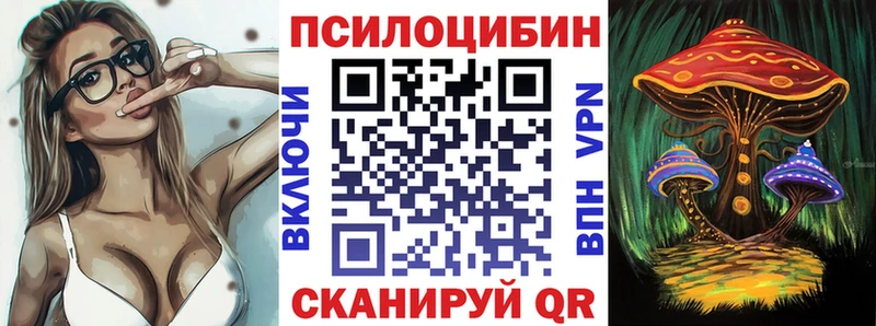 Псилоцибиновые грибы GOLDEN TEACHER  закладка  Свободный 