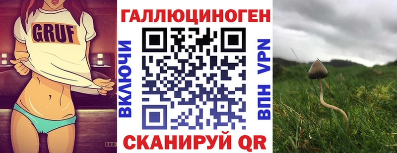 Псилоцибиновые грибы прущие грибы Свободный